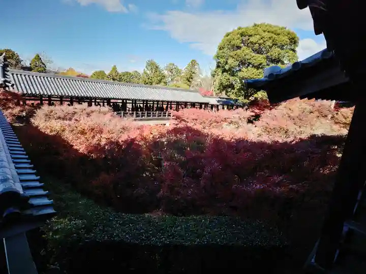 東福禅寺(東福寺)(京都府)