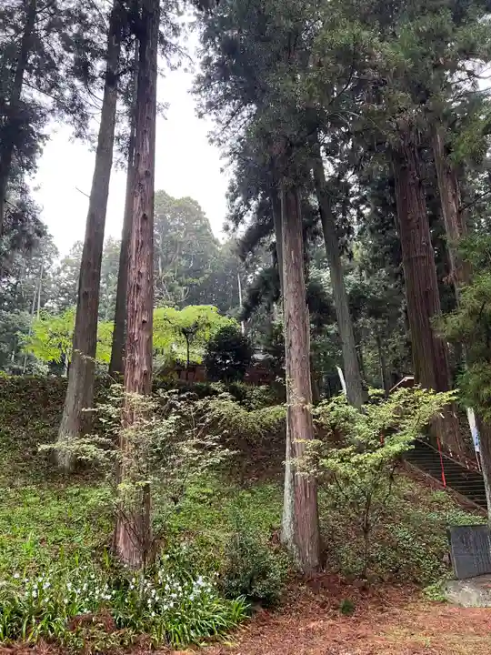 大宮温泉神社(栃木県)