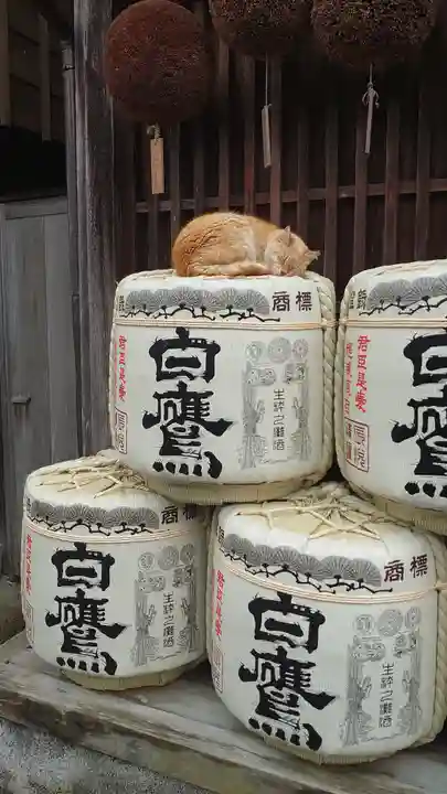 伊勢神宮内宮(皇大神宮)(三重県)