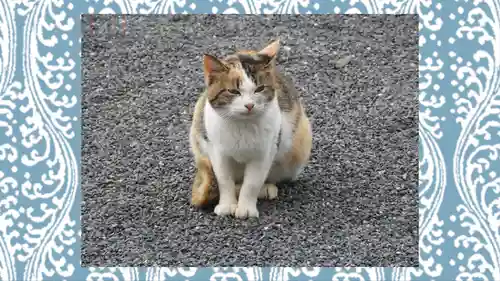 賀茂別雷神社(栃木県)