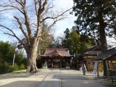 素鵞神社の本殿・本堂