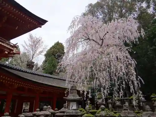 春日大社(奈良県)