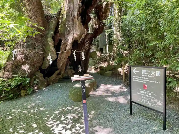 來宮神社(静岡県)