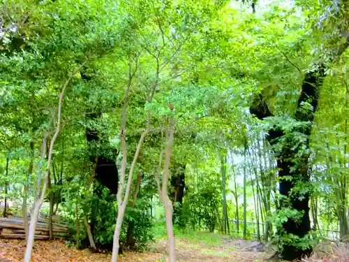 高田天満宮の周辺