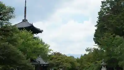 真正極楽寺(真如堂)(京都府)