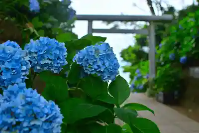 酒列磯前神社(茨城県)