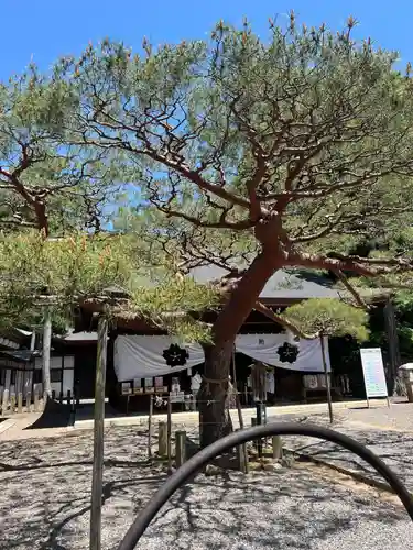 尾張冨士大宮浅間神社(愛知県)