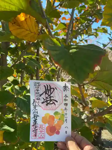 妙蓮寺(神奈川県)