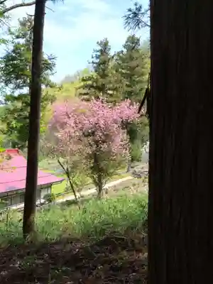 浄光寺(長野県)