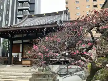 幸福寺の御朱印 2026年02月