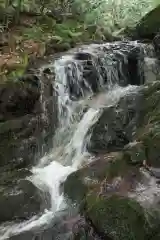 白山比咩神社の自然