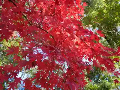 葭原観音堂の自然