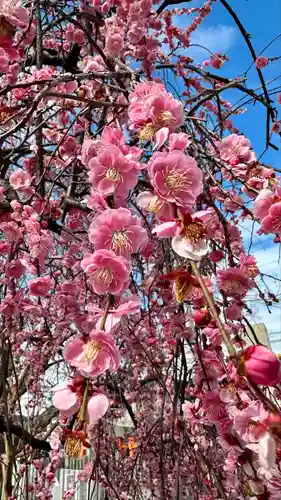 屯倉神社(大阪府)