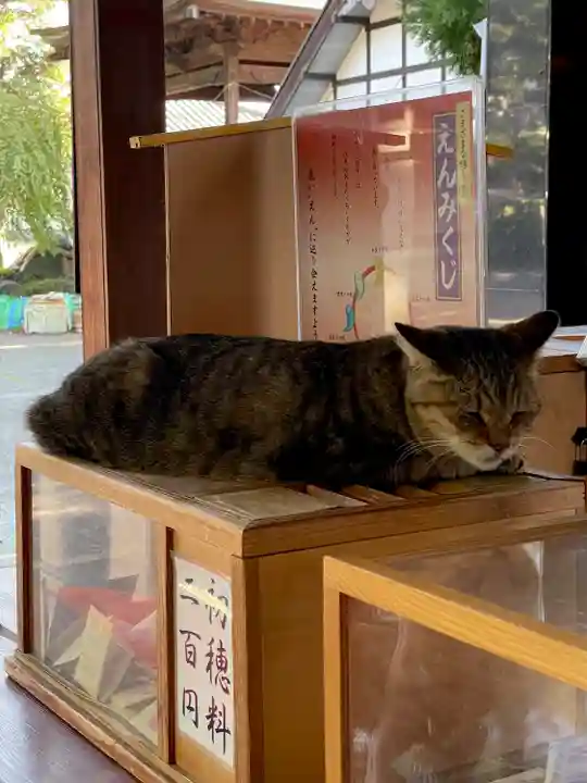 榛名神社の動物