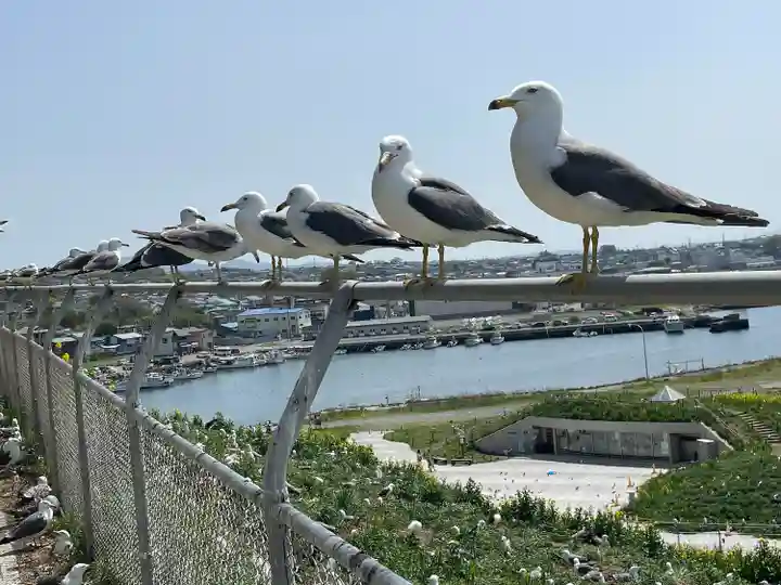 蕪嶋神社(青森県)