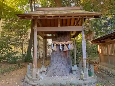 三ケ尻八幡神社(埼玉県)