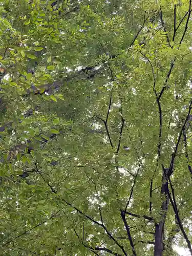 瘡守稲荷神社(東京都)
