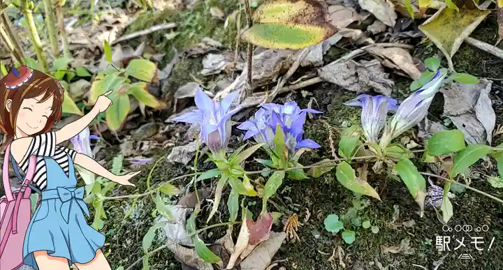 東慶寺(神奈川県)