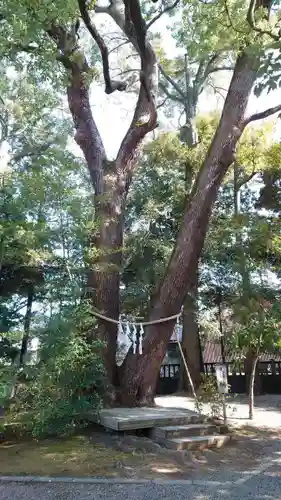 武蔵一宮氷川神社の自然