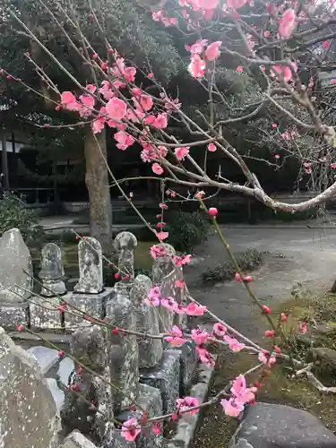 円覚寺(神奈川県)