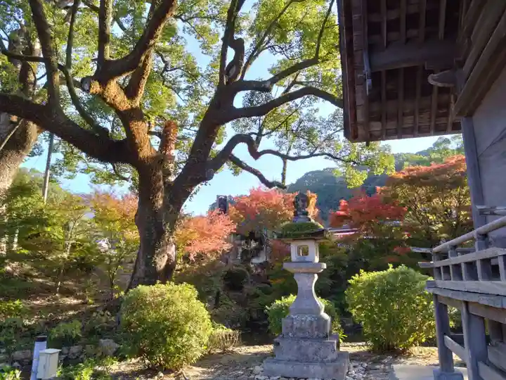 太宰府天満宮(福岡県)