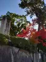 豊国神社のその他建物