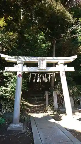 冨士浅間神社の鳥居