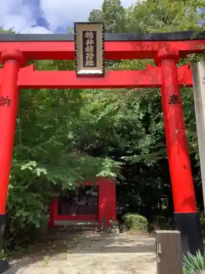 稲荷神社（柏井稲荷社）の鳥居