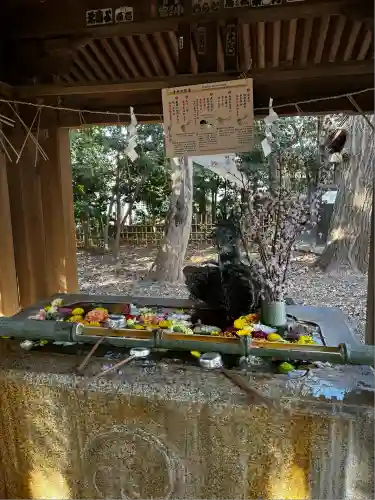 世田谷八幡宮(東京都)
