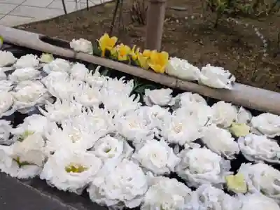 法輪寺の手水舎