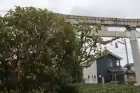 豊景神社の鳥居