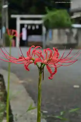 月読神社(神奈川県)