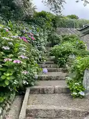 照江寺の自然