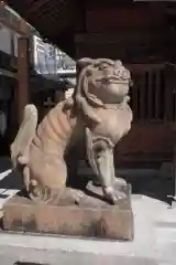 若八幡宮の狛犬