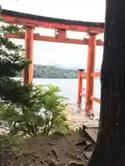 箱根神社の鳥居