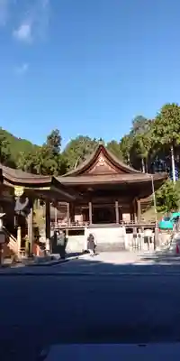 日吉大社の本殿・本堂