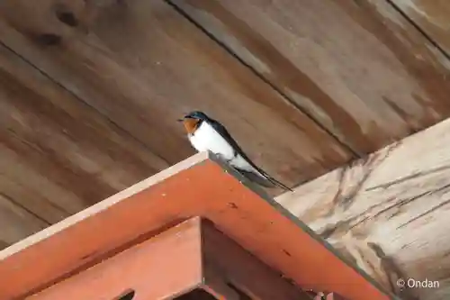 円通寺(兵庫県)