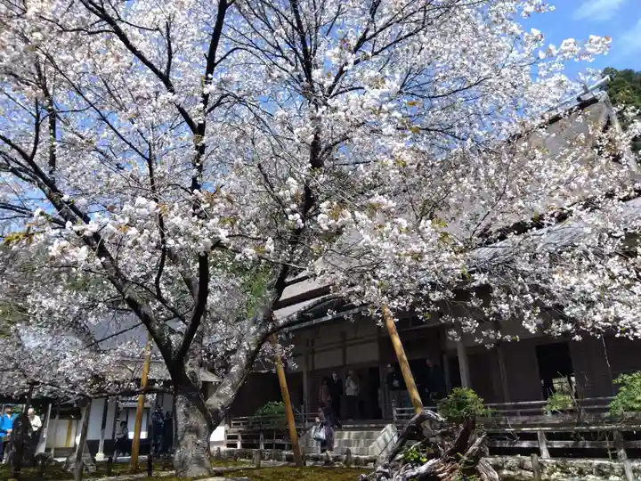 常照皇寺(京都府)