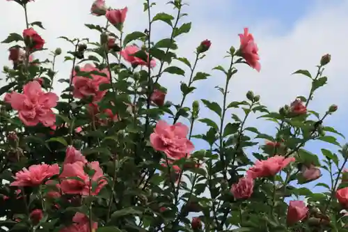 豊景神社の自然