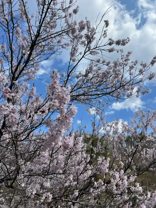 陽林寺の{uncategorized: "未分類", other: "その他", undefined: "問題あり", building: "その他建物", grave: "お墓", sacred_gate: "鳥居", guardian: "狛犬", statue: "像", buddha: "仏像", history: "歴史", nature: "自然", garden: "庭園", animal: "動物", pagoda: "塔", temizu: "手水舎", mountain_gate: "山門・神門", sanctuary: "本殿・本堂", subordinate: "末社・摂社", art: "芸術", scenery: "景色", jizo: "地蔵", ema: "絵馬", goshuin: "御朱印", omikuji: "おみくじ", items: "授与品その他", amulet: "お守り", goshuincho: "御朱印帳", eats: "食事", festival: "お祭り", votive_dance: "神楽", shichigosan: "七五三参", wedding: "結婚式", experience: "体験その他", initially: "初詣", around: "周辺", anti_infection: "感染症対策"}