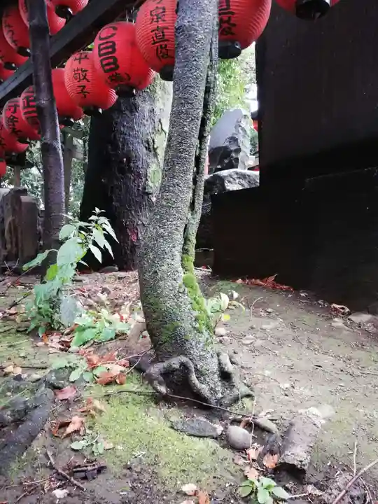 豊栄稲荷神社の自然