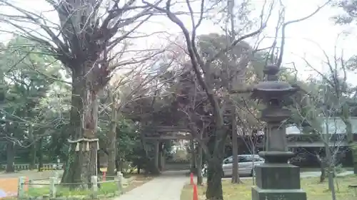 赤坂氷川神社の建物その他