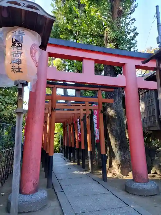 花園稲荷神社の鳥居