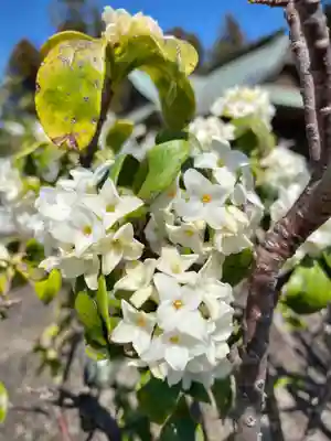 鹿嶋三嶋神社(茨城県)
