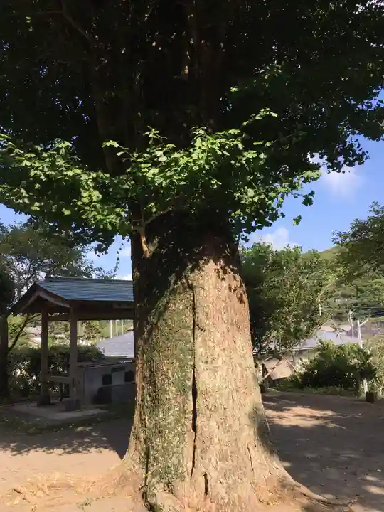 洲宮神社の自然