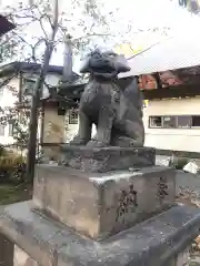 鷹栖神社の狛犬