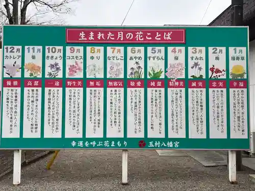 玉村八幡宮(群馬県)