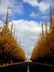 明治神宮(東京都)