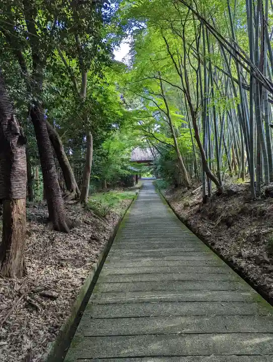 勝持寺(花の寺)(京都府)