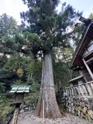 大皇神社(三重県)